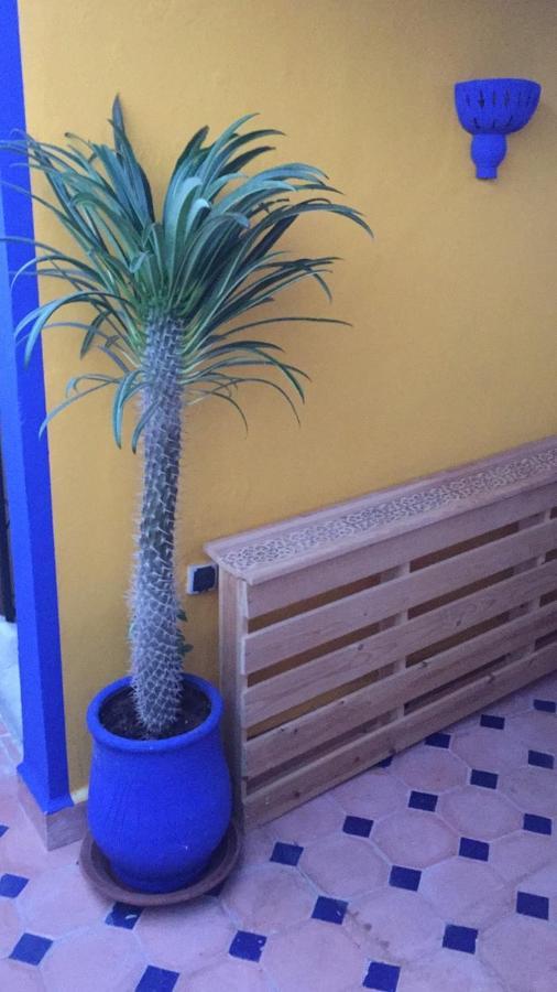 Authentic Moroccan Charm Apartment In Marrakech Terrace Marrakesh Exterior foto